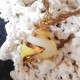Pendentif coquillage vrai burgo jaune | collier plaqué or