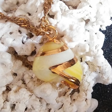 Pendentif coquillage naturel vrai burgo jaune | collier plaqué or