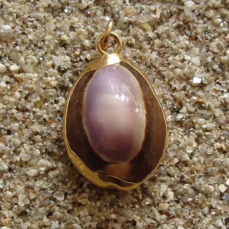 Pendentif vrai coquillage cyprae violet | collier plaqué or