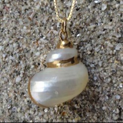 Pendentif coquillage burgo blanc nacré | collier plaqué or