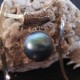 Pendentif nacre mabé bleu 2 cm, perle mabé tahiti