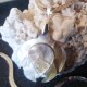 Collier pendentif tortue nacre miel clair gravée 2.5 cm