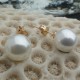 Boucles d'oreilles perles blanches akoya 10 mm